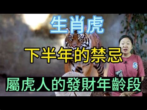 屬虎禁忌原因|屬虎為什麼禁忌特別多？深入探討原因與歷史意涵